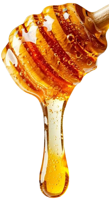 Pure raw honey harvested from Malaysian rainforests